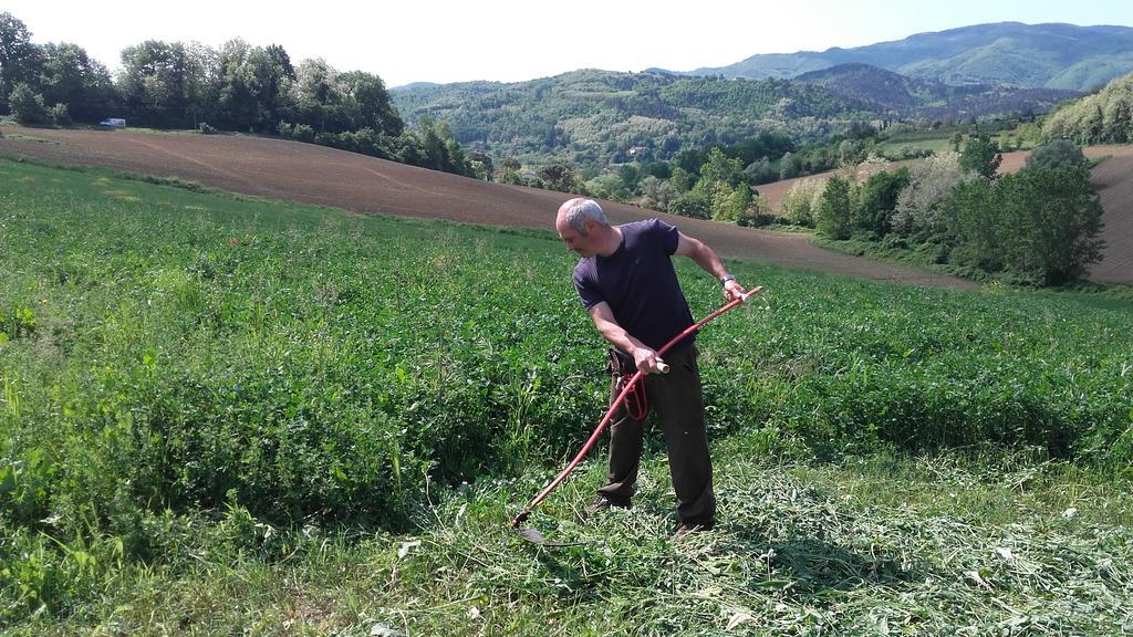 비키오 Agriturismo Stazione Di Monta 빌라 외부 사진