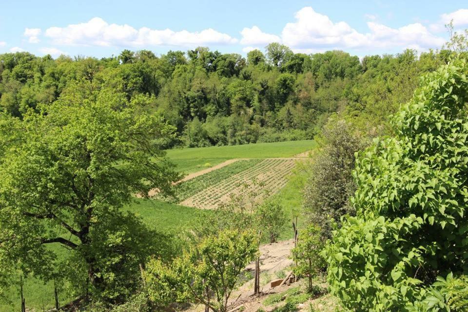 비키오 Agriturismo Stazione Di Monta 빌라 외부 사진